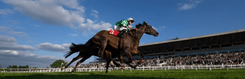 172nd Grand National: A Remarkable Experience