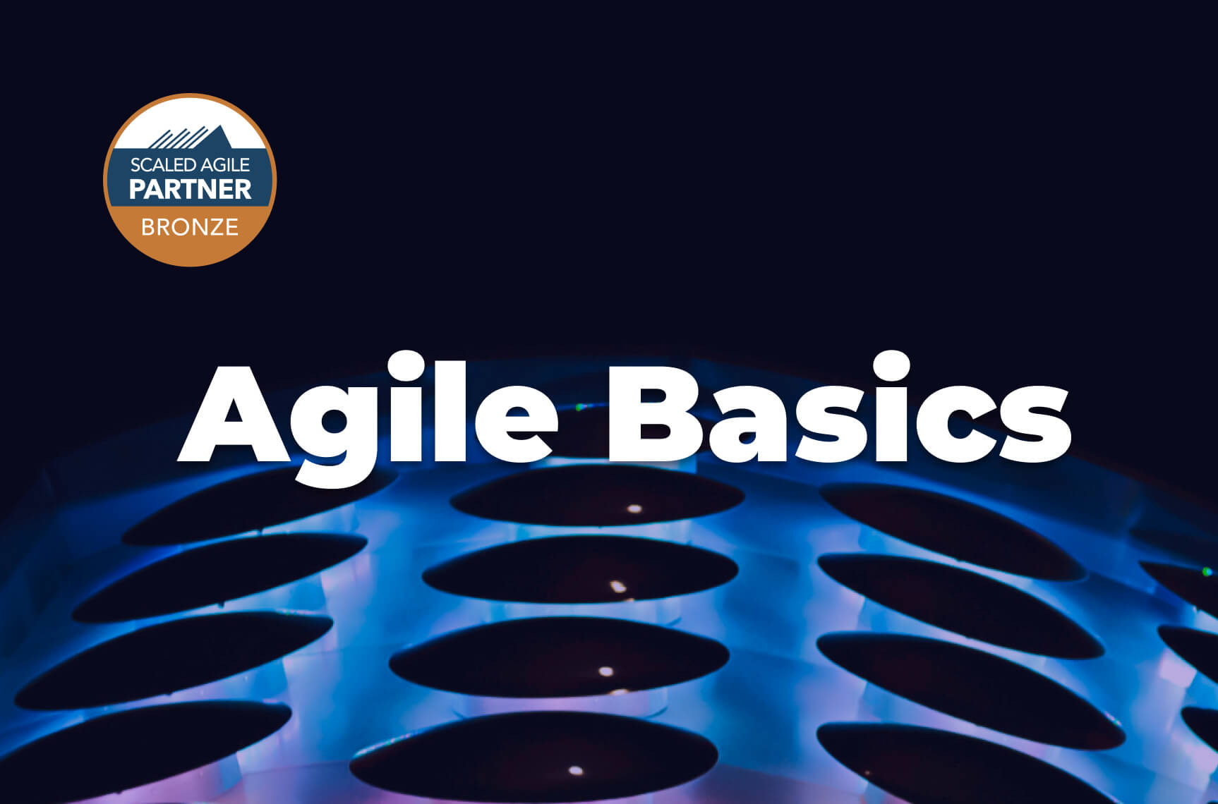 Agile Basics. Online Course