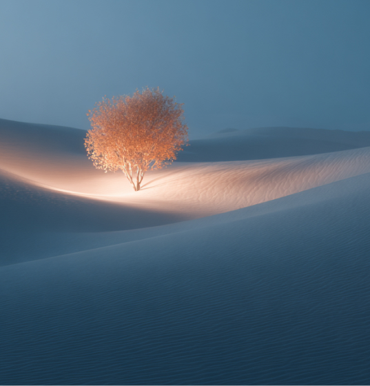 AI Strategy Consulting Services