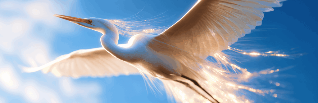 How ERP Software Powers Aviation Operations, Maintenance, and Compliance