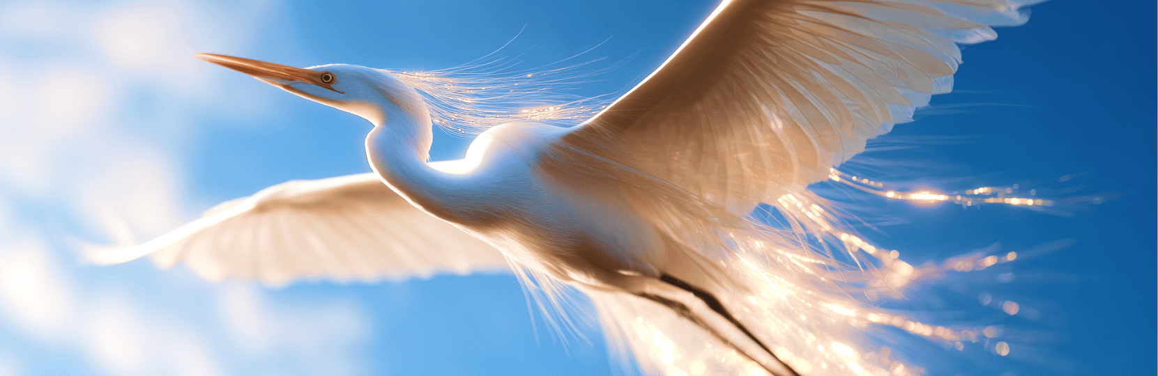 How ERP Software Powers Aviation Operations, Maintenance, and Compliance